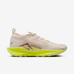 NIKE-PEGASUS-TRAIL-5-GTX