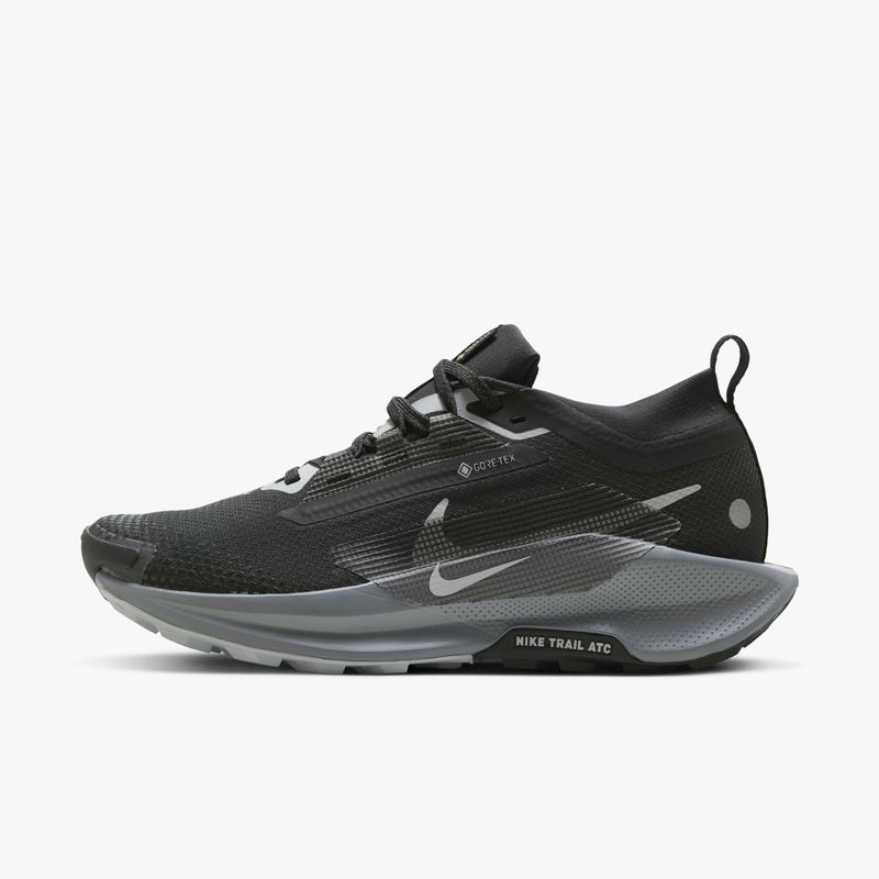 NIKE PEGASUS TRAIL 5 GTX