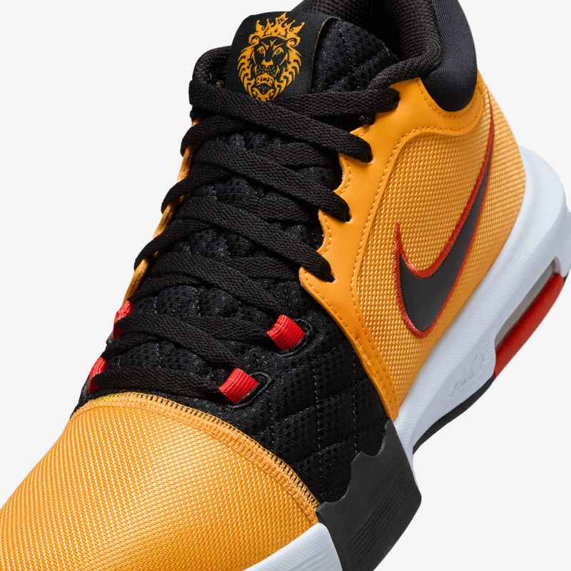 LeBron-Witness-VIII