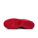 Nike-SB-Dunk-Low-Pro