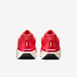 Nike-Winflo-11