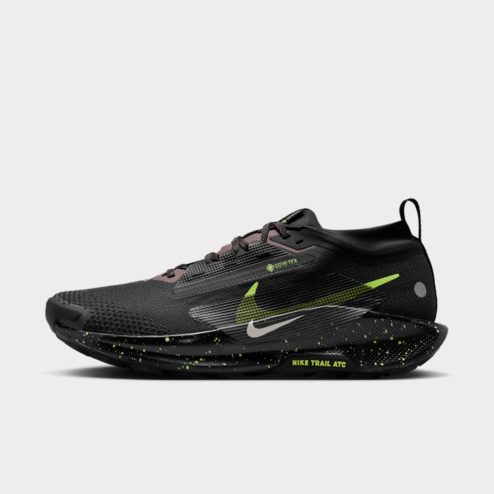 Nike Pegasus Trail 5 GORE-TEX