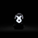 Nike-Shox-TL