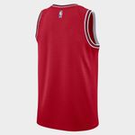 Chicago-Bulls-Icon-Edition