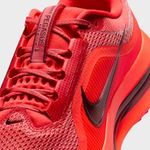 Nike-Pegasus-Premium