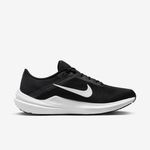 Nike-Winflo-10
