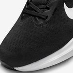 Nike-Winflo-10