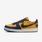 Nike-Terminator-Low