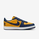 Nike-Terminator-Low