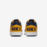Nike-Terminator-Low