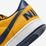 Nike-Terminator-Low