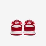 Nike-Dunk-Low-SP