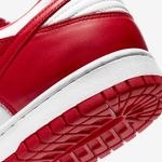 Nike-Dunk-Low-SP