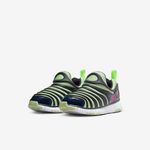 Nike-Dynamo-Free